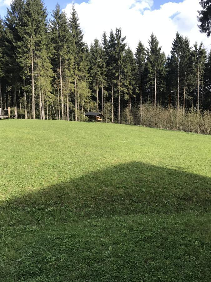 Chalet6Harrachov Se Saunou Kültér fotó
