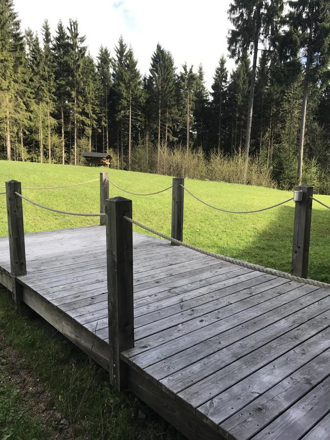 Chalet6Harrachov Se Saunou Kültér fotó