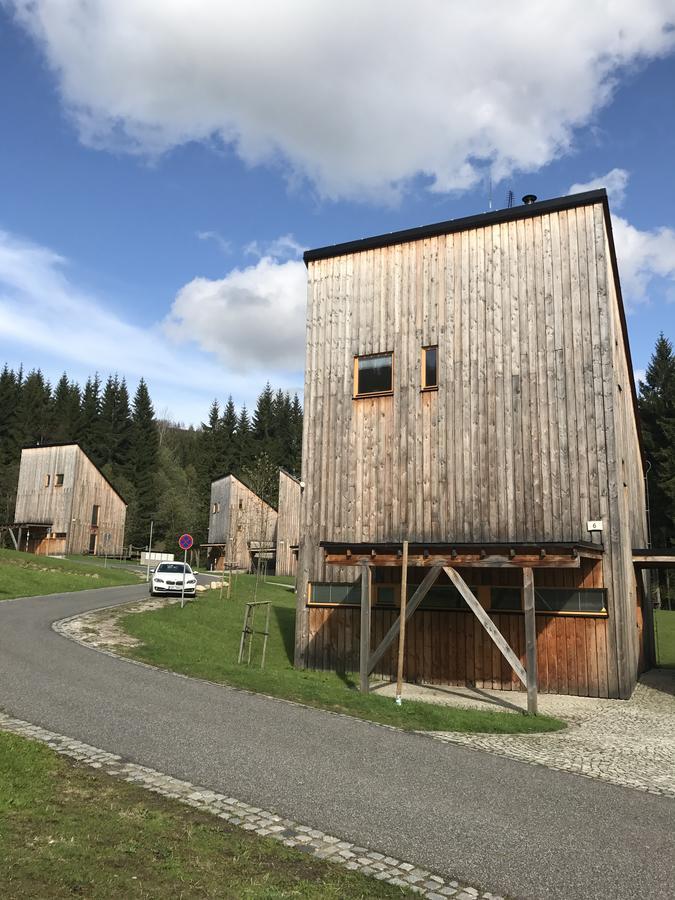 Chalet6Harrachov Se Saunou Kültér fotó