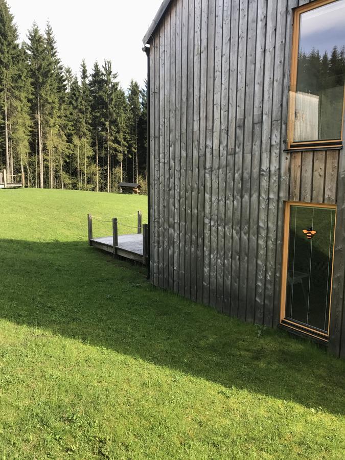 Chalet6Harrachov Se Saunou Kültér fotó